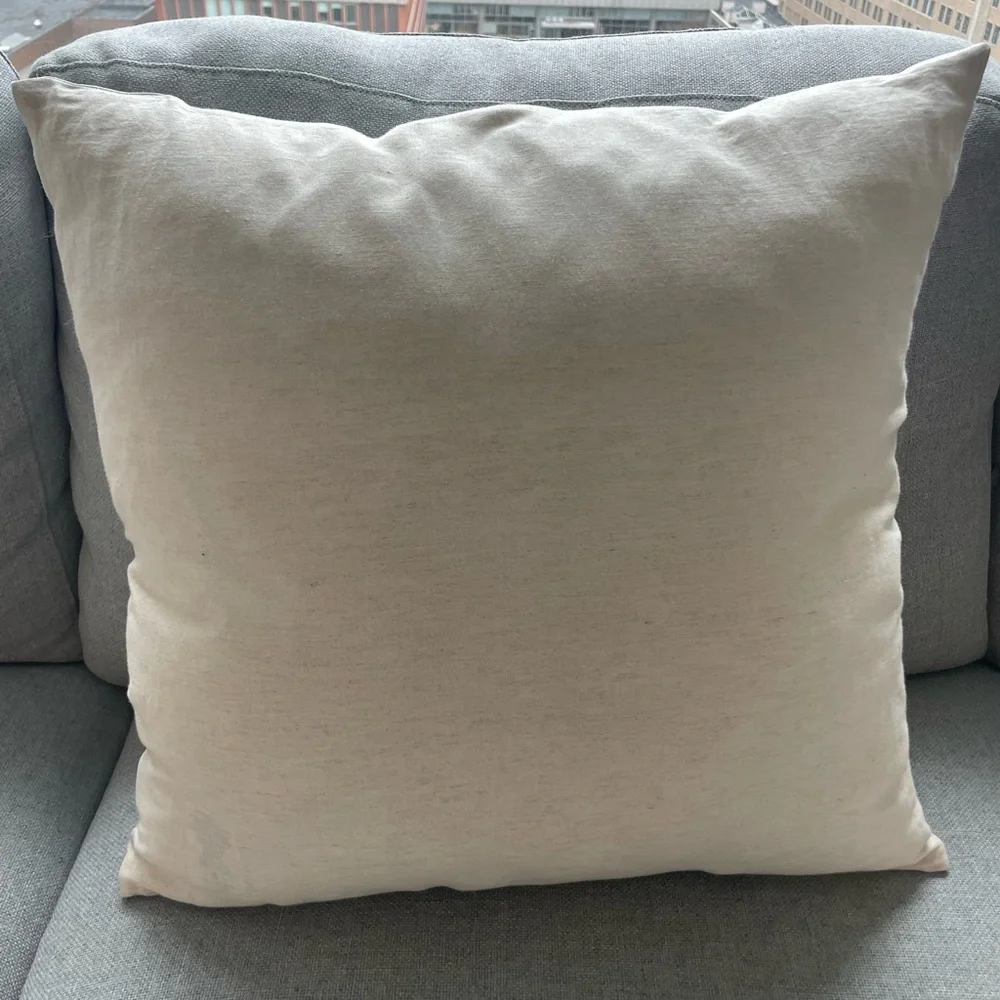 West Elm Decorative Throw Pillow
